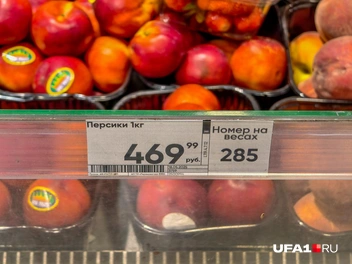 Так и хочется куснуть | Источник: Булат Салихов / UFA1.RU