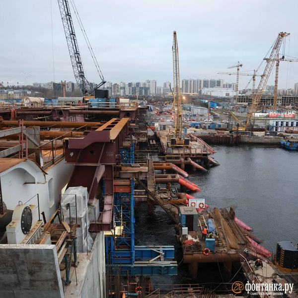 Источник: Валентин Егоршин / «Фонтанка.ру»