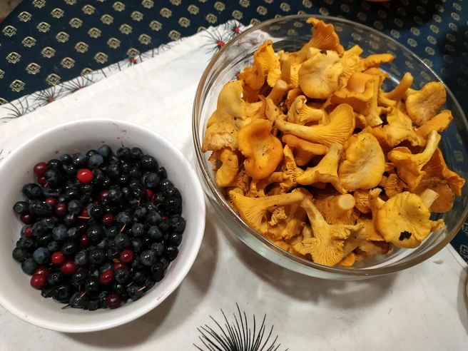 Октябрьский улов из леса | Источник: Светлана Рзаева, Грибы Ярославской области / Vk.com