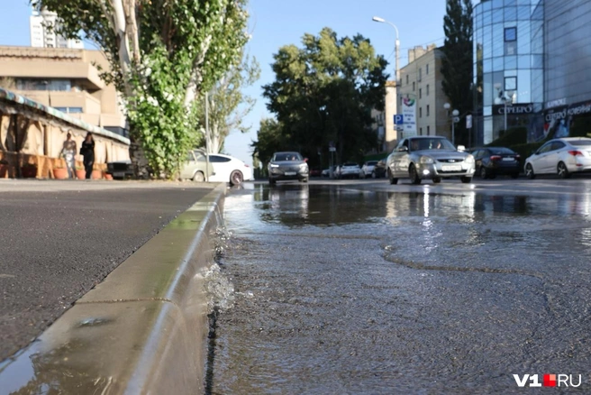 Плотная струя воды бьет прямо из трещины между бордюром и асфальтовым полотном | Источник: Алексей Волхонский / V1.RU