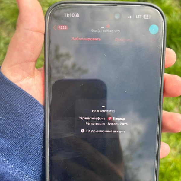 Источник: Екатерина Мизулина / T.me