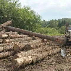 Источник: www.city-n.ru