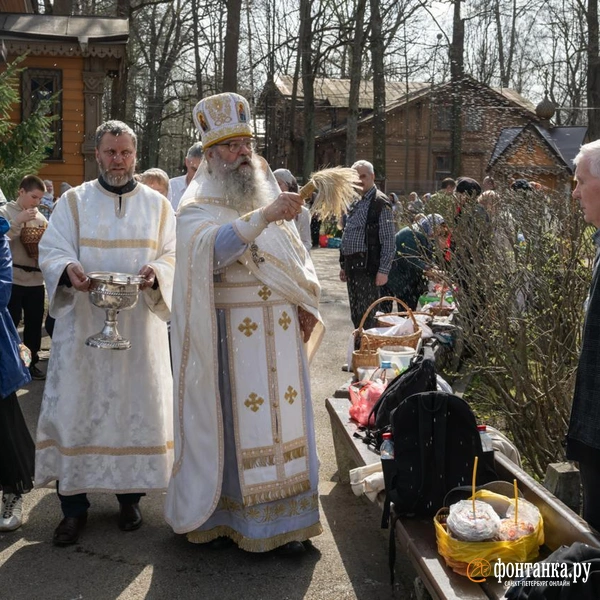Источник: Андрей Бок /«Фонтанка.ру»