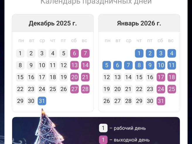 Период январских праздников в 2026 году составит 12 дней. | Источник: Юрий Скулыбердин / MSK1.RU