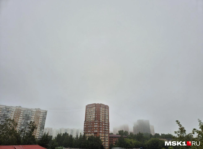 Источник: Лилия, читательница MSK1.RU