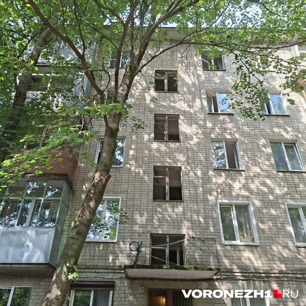 Источник: Алёна Воропаева/ Voronezh1.ru