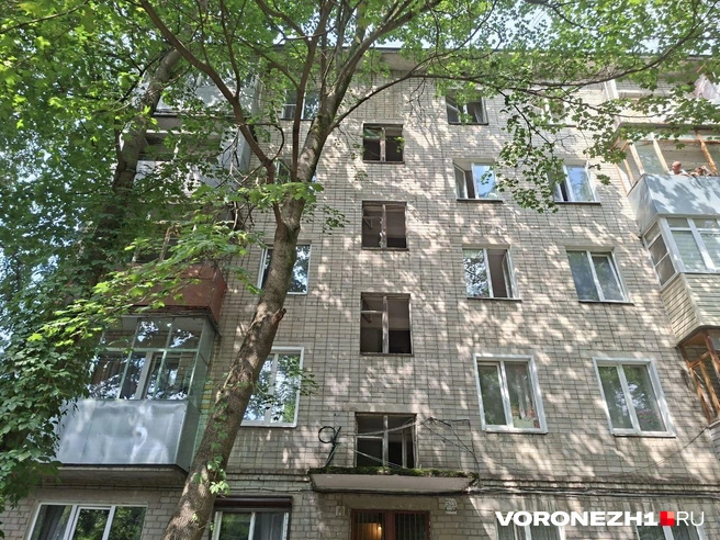 Источник: Алёна Воропаева/ Voronezh1.ru