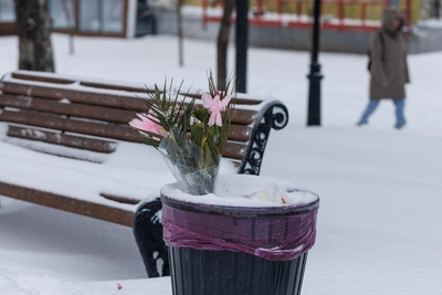 Москвичи распродают брони на 14 февраля после расставаний