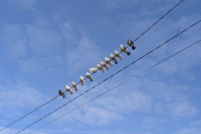 В Башкирии ввели режим беспилотной опасности