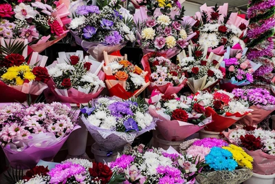 Нижегородские власти планируют потратить миллионы на цветы