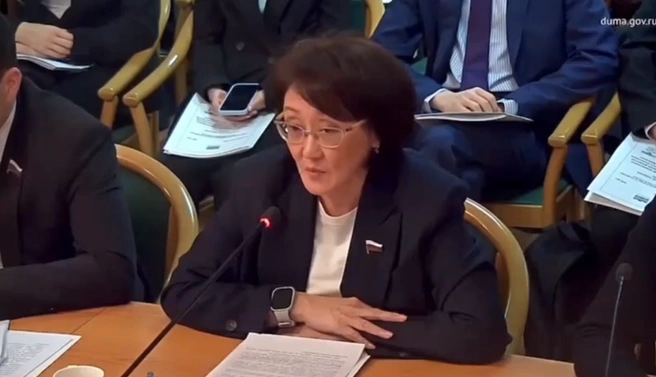 Из-за износа возросло количество аварийных отключений | Источник: скриншот парламентских слушаний