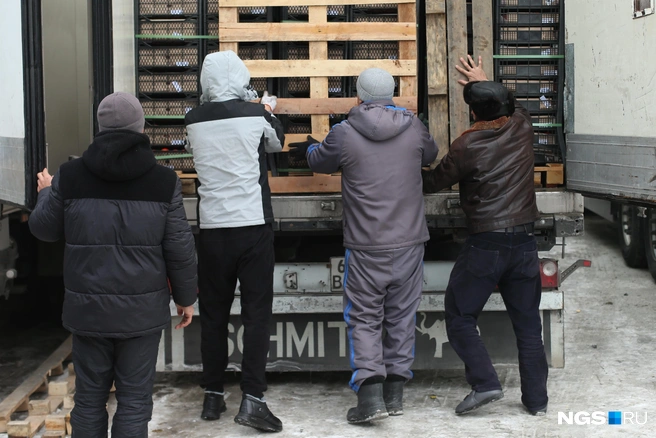До Новосибирска фуры из Китая и ближнего зарубежья идут транзитом, срывают установленные на границе пломбы только на таможенном посту. Дальше грузы изучают специалисты: сначала проверяют документы и сертификаты, потом&nbsp;— смотрят на сами товары и берут образцы для лаборатории | Источник: Андрей Бортко / NGS.RU