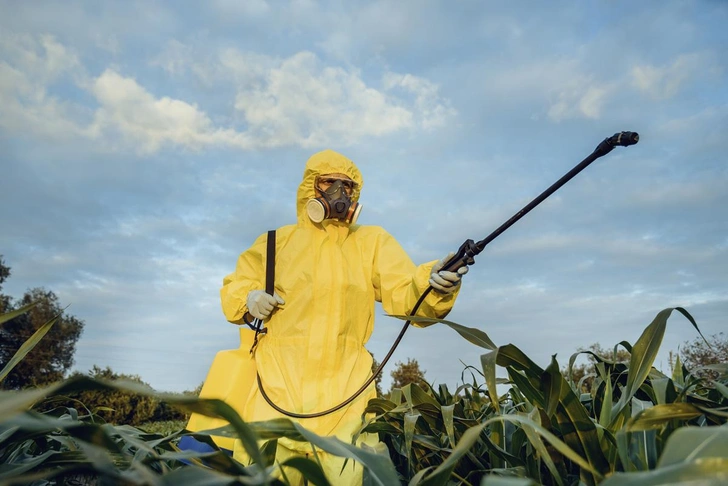 Инсектициды нарушают у насекомых-опылителей способности ориентироваться в пространстве и размножаться | Источник: iStock