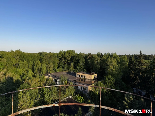 Источник: Алина Мельникова / MSK1.RU