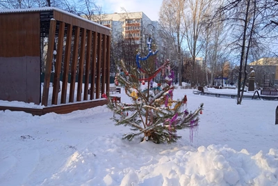 Ульяновск ожидает ураган и метель 3 января