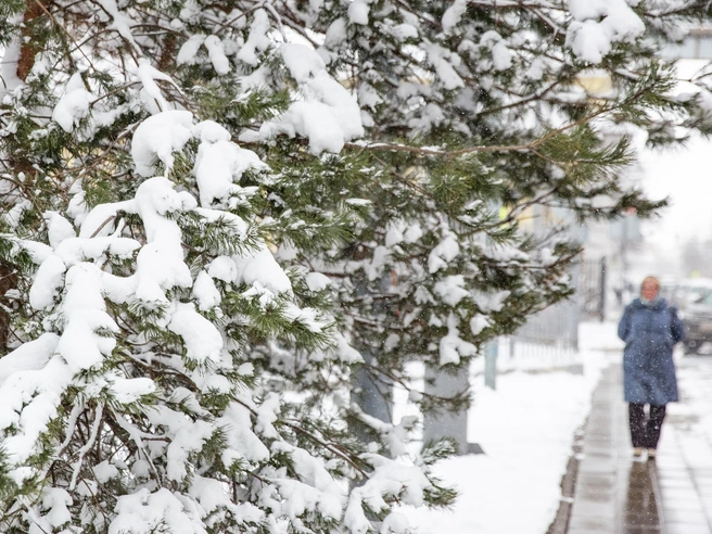 Прогнозируются первые зимние морозы в Центральной России | Источник: Кирилл Поверинов / 76.RU