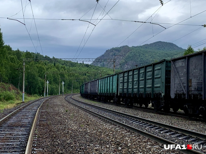 Айгир | Источник: Андрей Бирюков / UFA1.RU