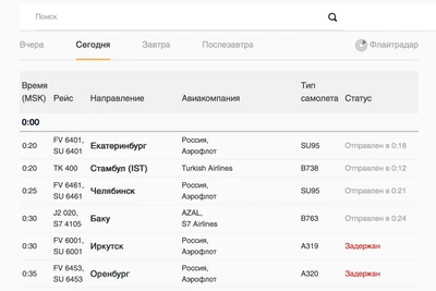 Пулково возобновил работу, задержано более 10 рейсов