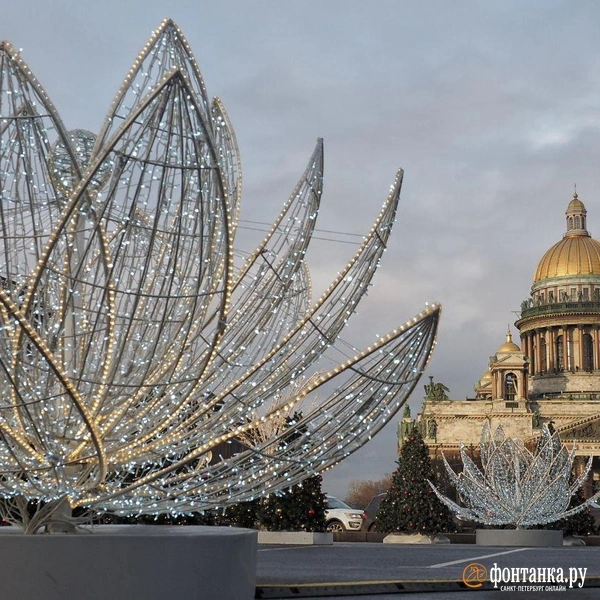 Источник: Михаил Огнев / «Фонтанка.ру»