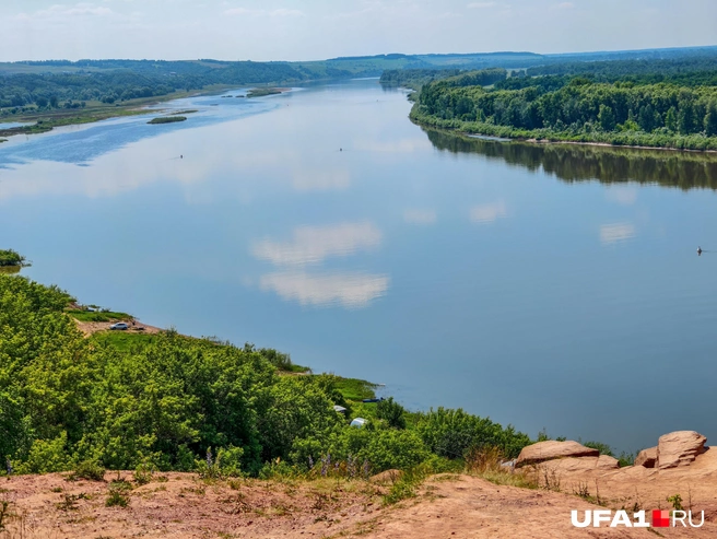 Сейчас бы на речку | Источник: Булат Салихов / UFA1.RU