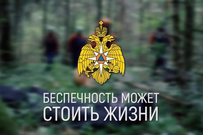 В новгородских лесах с начала года заблудились 153 человека