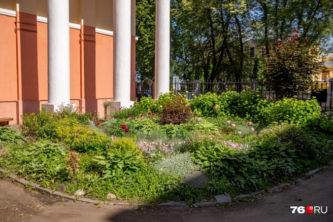 Справа от входа бутонов меньше | Источник: Кирилл Поверинов / 76.RU