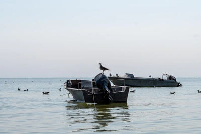 Азовское море вошло в список самых грязных в стране