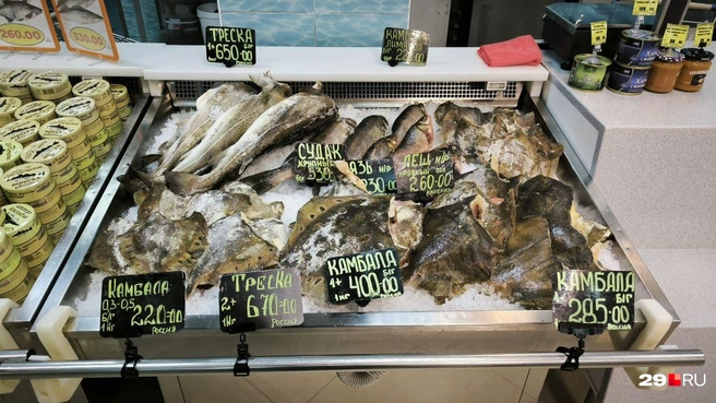 Треска, камбала, судак, язь — цены от 220 руб. до 670 руб. за кг рыбы. | Источник: Юрий Скородумов