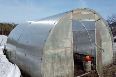 Огородница с 20-летним стажем против теплиц из поликарбоната