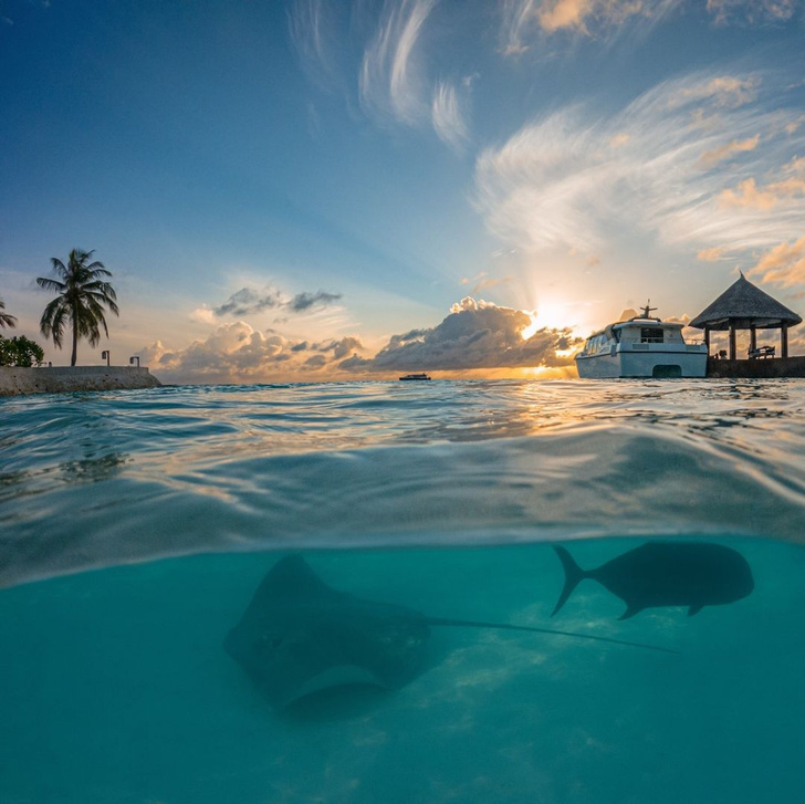 Фото №28 - Гид по Мальдивам: где остановиться, чтобы провести самый лучший отпуск в вашей жизни?