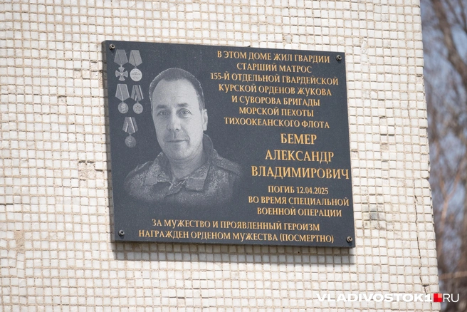 Источник: Елена Буйвол / VLADIVOSTOK1.RU