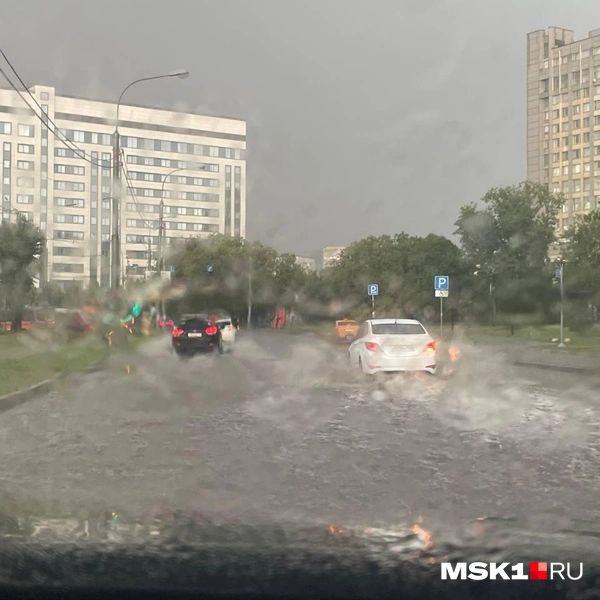 Источник: Вера Борисова / MSK1.RU