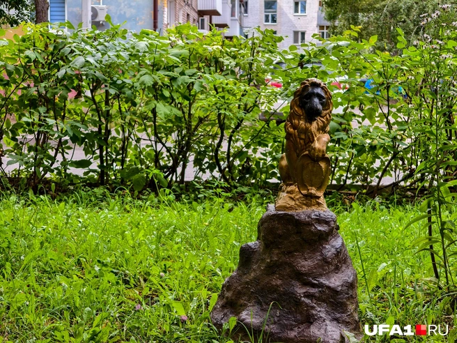 Темный лев, получается | Источник: Булат Салихов / UFA1.RU