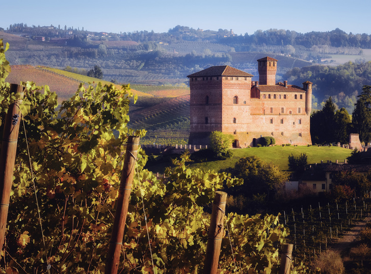 Соседи-соперники: как итальянские деревни Бароло и Барбареско ведут винодельческое состязание