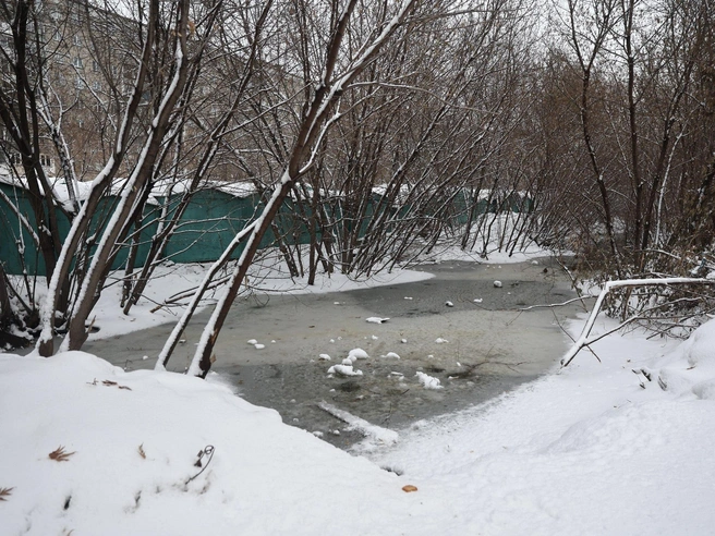 Затопление территории вблизи гаражей | Источник: Александр Ощепков / NGS.RU