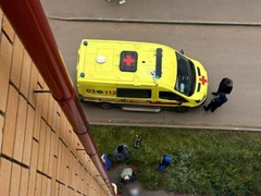 Пятилетняя девочка выбросила новорожденного брата из окна — он скончался от травм