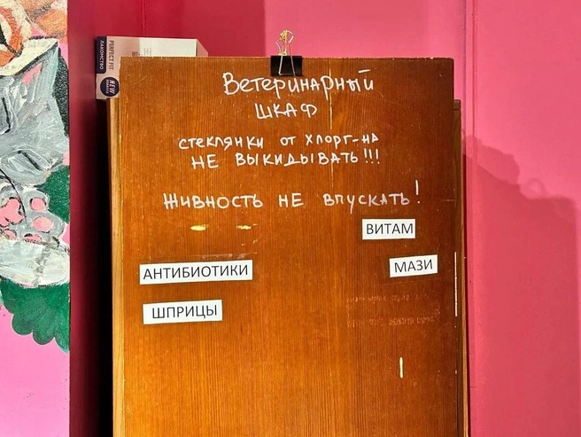 Ветеринарный шкаф | Источник: Илья Константинов / 14.RU