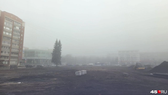 Источник: Алена Кисель / 45.RU