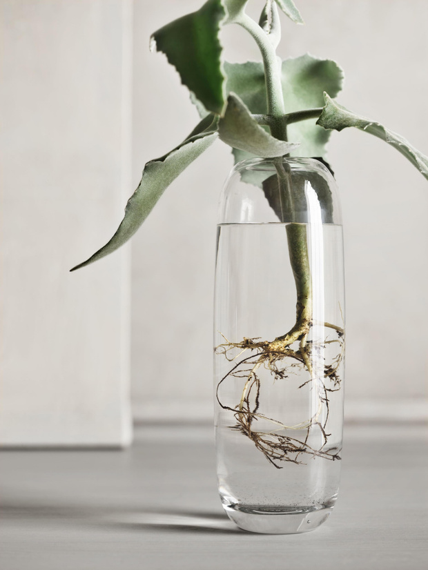 Фото №6 - Una: вазы-трансформеры Катерины Соколовой для марки Bolia