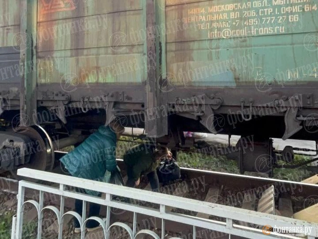 Посмотрите, как делать не надо. Пешеходы перелезли под составом, перегородившим проход в Ленобласти | Источник: читатель «Фонтанки»