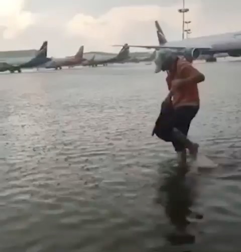 В Москве затопило аэропорт Шереметьево