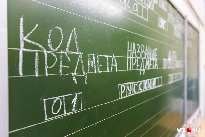 Ваши дети уже готовы? | Источник: Алексей Волхонский / V1.RU