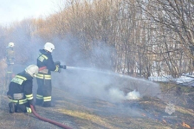14 пожаров ликвидировали на Камчатке за выходные