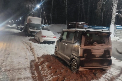 Новосибирский перевозчик не высаживает пассажиров