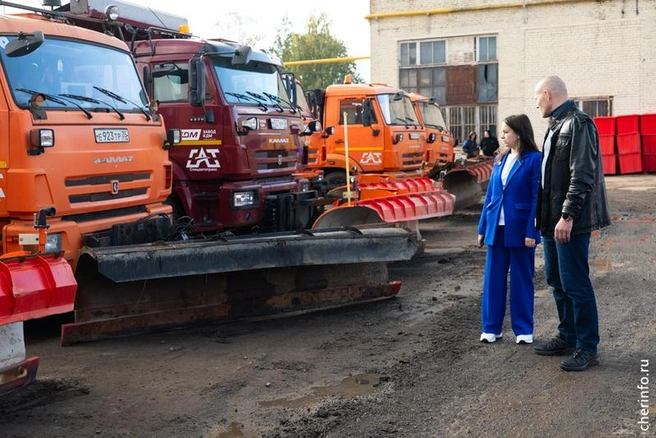 Источник: st.cherinfo.ru