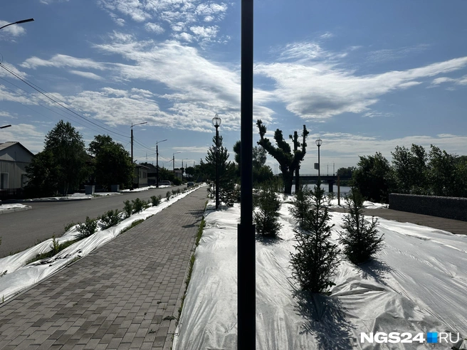 Как меня заверили, белые полотна появились к приезду врио не специально — это плановая работа по выращиванию травы | Источник: Руслан Руденко / NGS24.RU