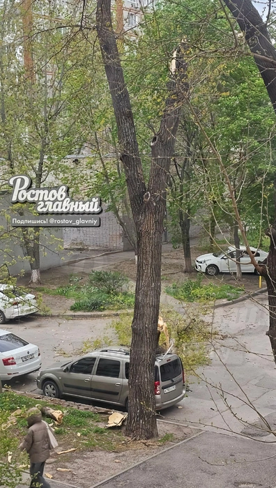 Источник: Ростов главный / Telegram.org