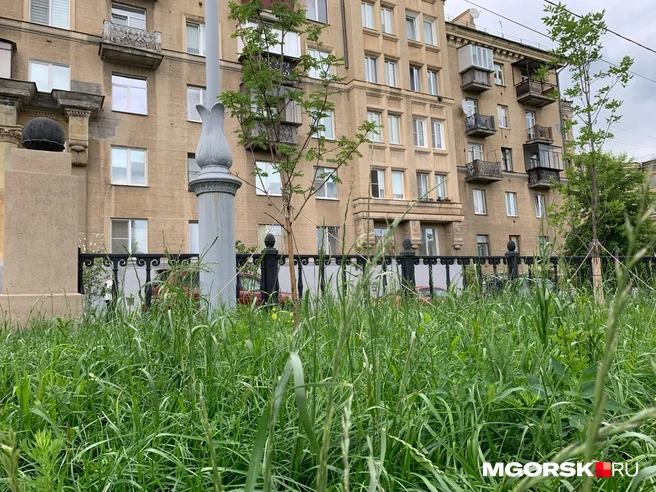 В остальном с зеленью порядок. Судите сами | Источник: Анна Лялькова / MGORSK.RU