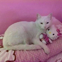 Аватарка Настя Кудри