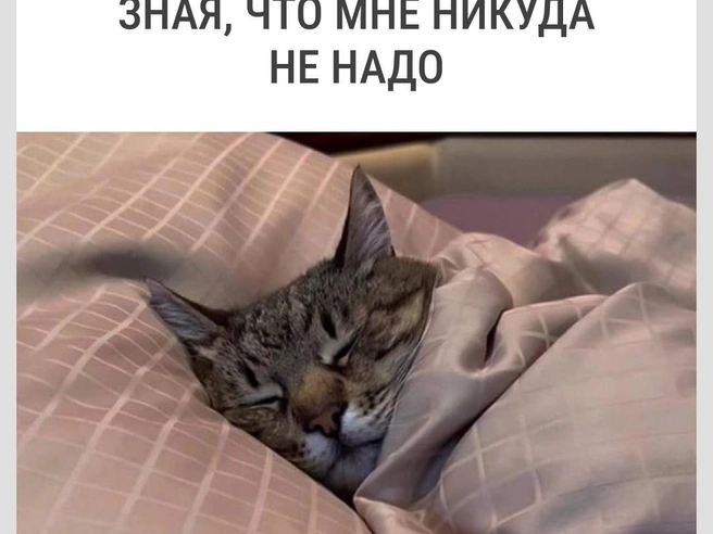 Спится осенью сладко | Источник: Городские медиа